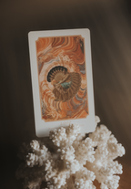 The Orákulum Vol II Oracle Deck