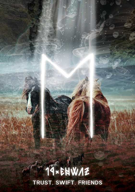 Two horses standing in a field with a large letter 'M' and the text '11:59' and 'Trust. Swift. Friends.'