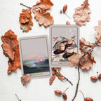 Two illustrated tarot cards, titled 'Two of Cups' and 'Three of Cups,' arranged on a white textured surface with scattered brown oak leaves and acorns.