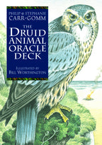 Book cover of 'The Druid Animal Oracle Deck' with an illustration of an owl on a natural background.