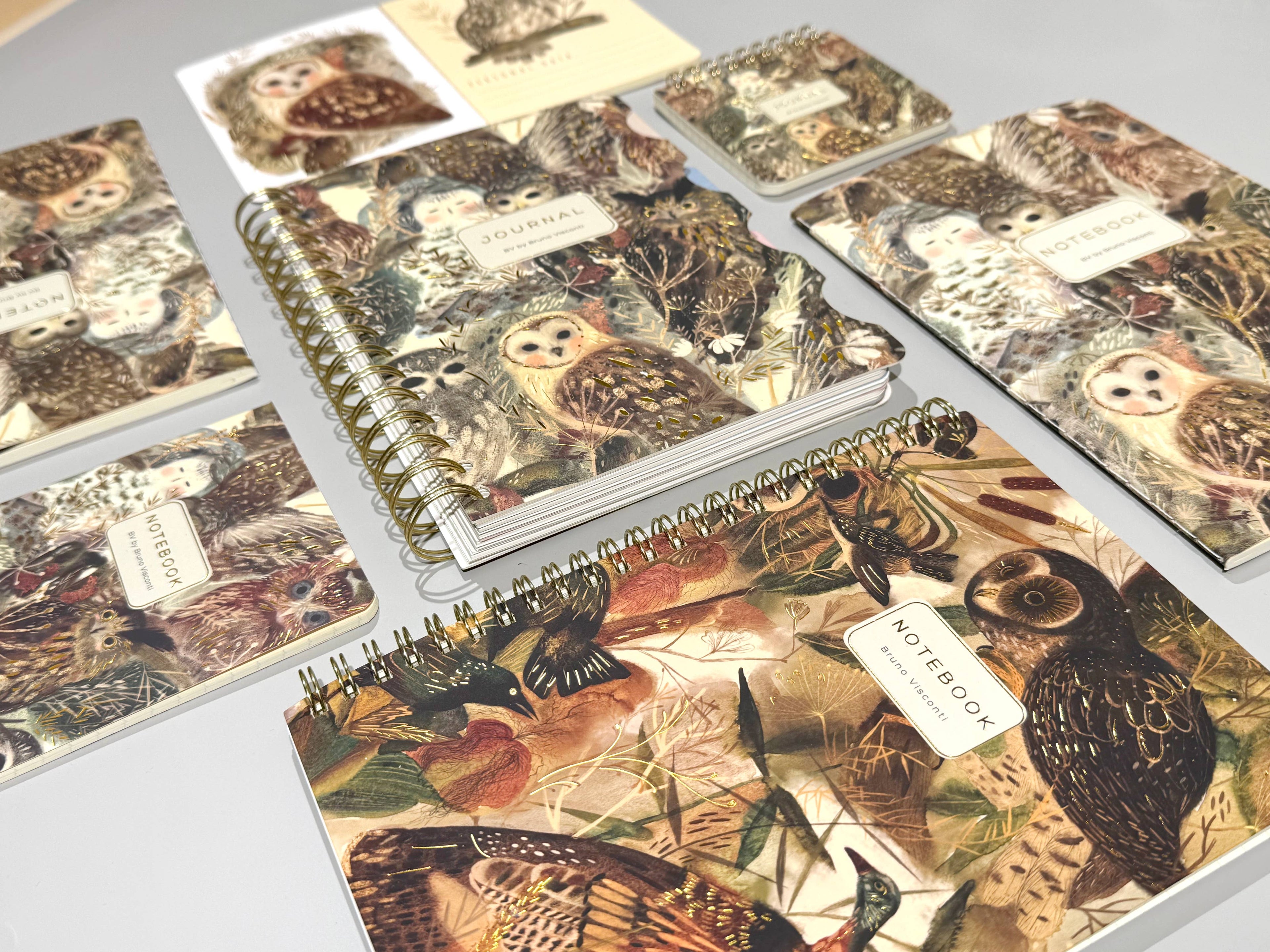 Notebooks with owl illustrations on a gray surface