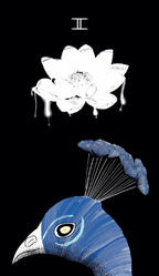 The Sacred Web Tarot