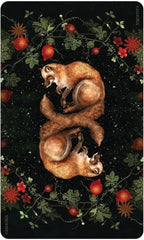 Two foxes reflected in water with flowers and leaves on a dark background
