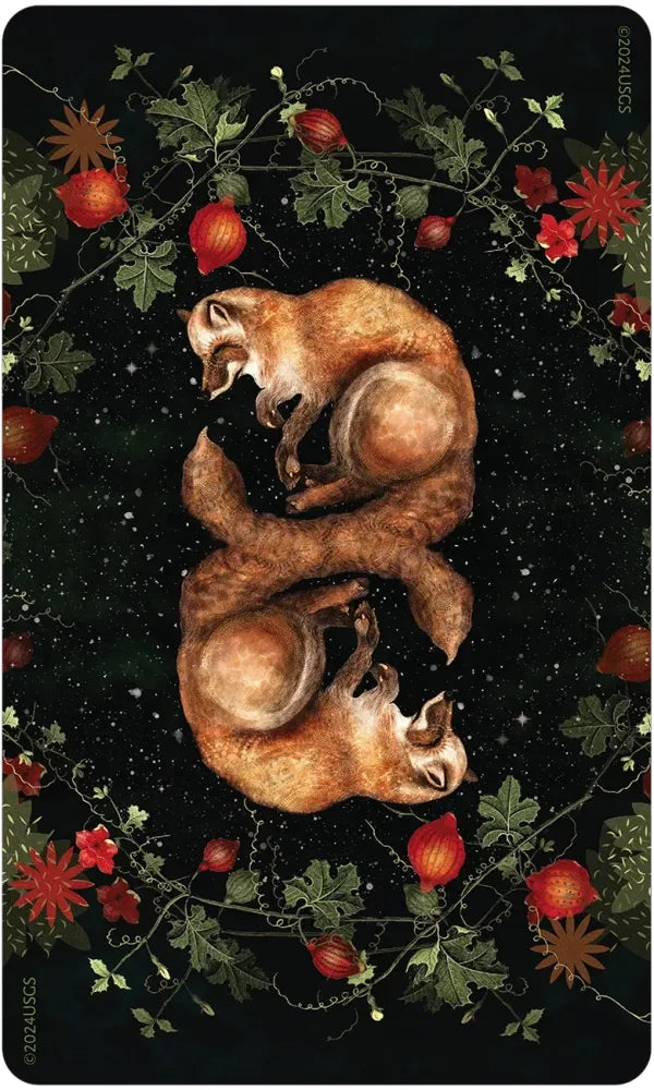 Two foxes reflected in water with flowers and leaves on a dark background