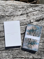 Two books titled 'Deathmarch' and 'Black Sonata' on a white background