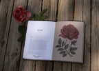 Floriography By Jessica Roux