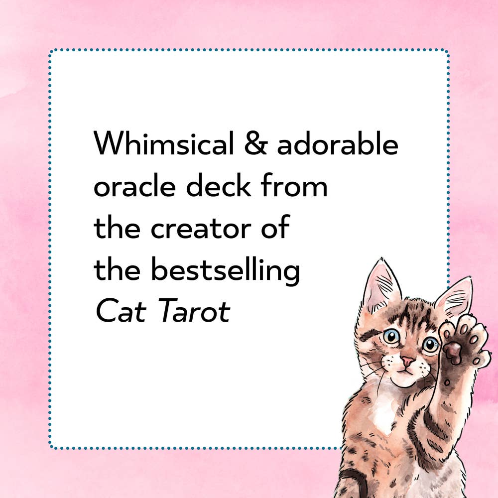 Cat illustration on a pink background with text about an oracle deck.