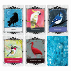 Set of cards featuring illustrations of birds with their names below on a white background.