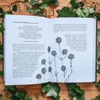 Open book with botanical illustrations and text on a wooden surface with green leaves.