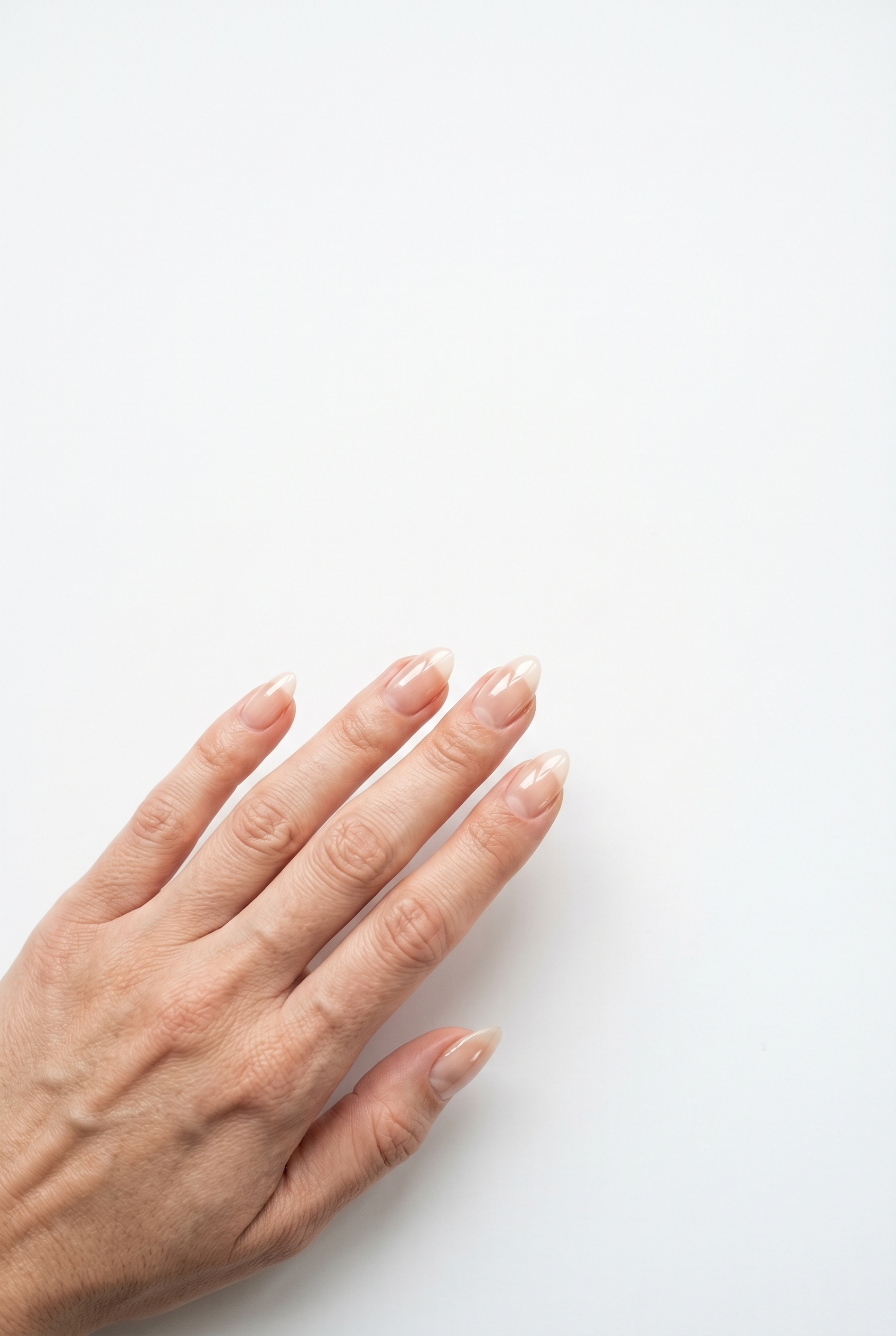 Hand with neatly manicured nails on a white background