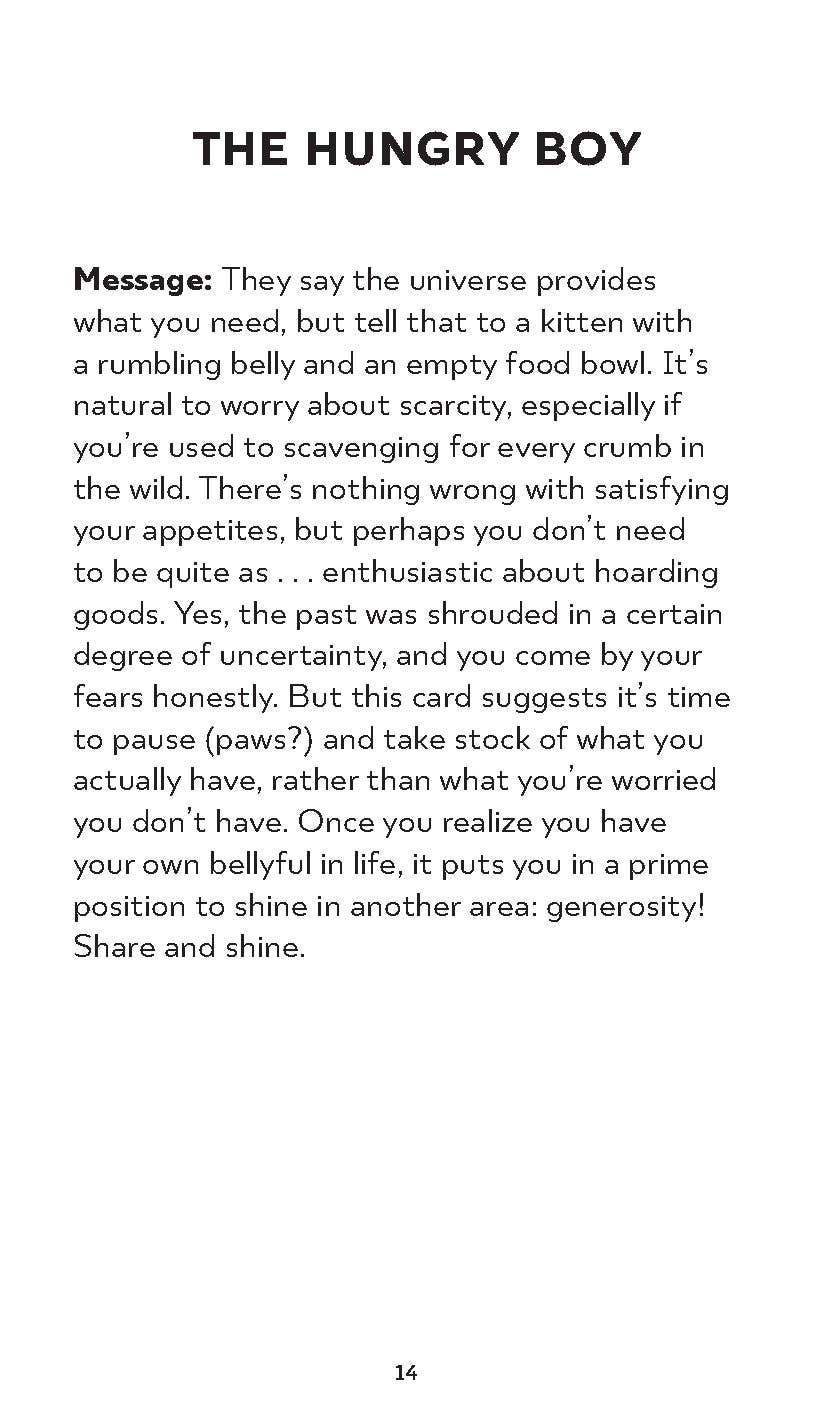 Text page from a book or document titled 'The Hungry Boy' with a message about the universe and a kitten.