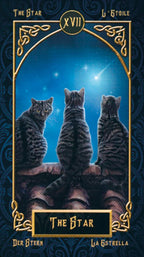 Three cats looking at a star with decorative border and text at the top and bottom.