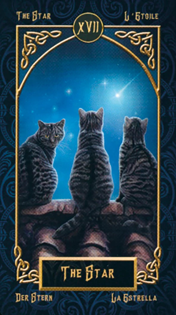 Three cats looking at a star with decorative border and text at the top and bottom.