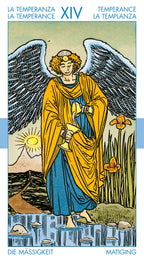 Tarot card featuring an angel with wings, holding a book, in a natural setting with flowers and mountains.