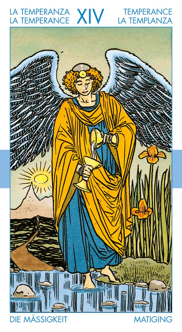 Tarot card featuring an angel with wings, holding a book, in a natural setting with flowers and mountains.