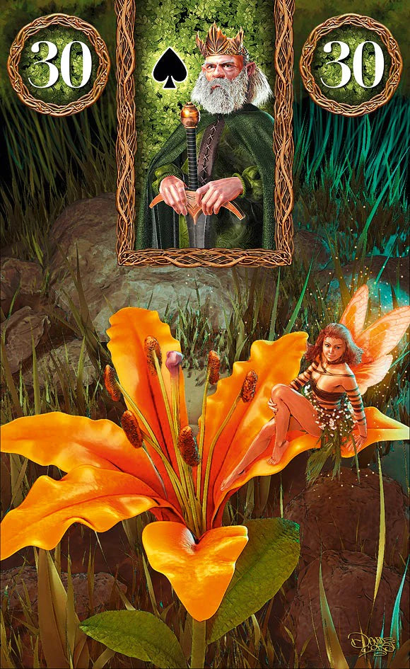 Card with a king and fairy in a fantasy setting with flowers and numbers 30.