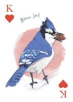 Card featuring a blue jay with 'K' and heart symbols on a white background
