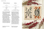 Two tarot cards with decorative elements on a textured surface