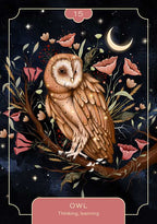Illustration of an owl with floral elements and a starry night background