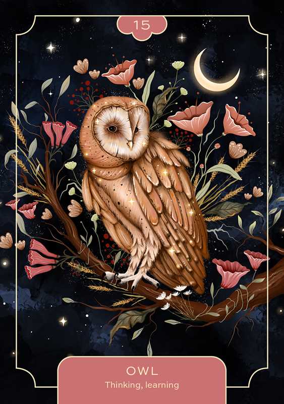 Illustration of an owl with floral elements and a starry night background