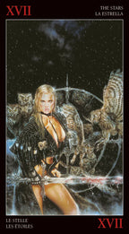 Vintage-style poster with a woman in a fur coat surrounded by owls against a starry night sky.