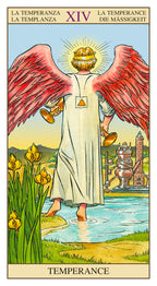 Tarot of the New Vision
