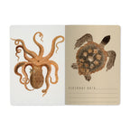 Two notebook covers with an octopus and turtle design on a white background