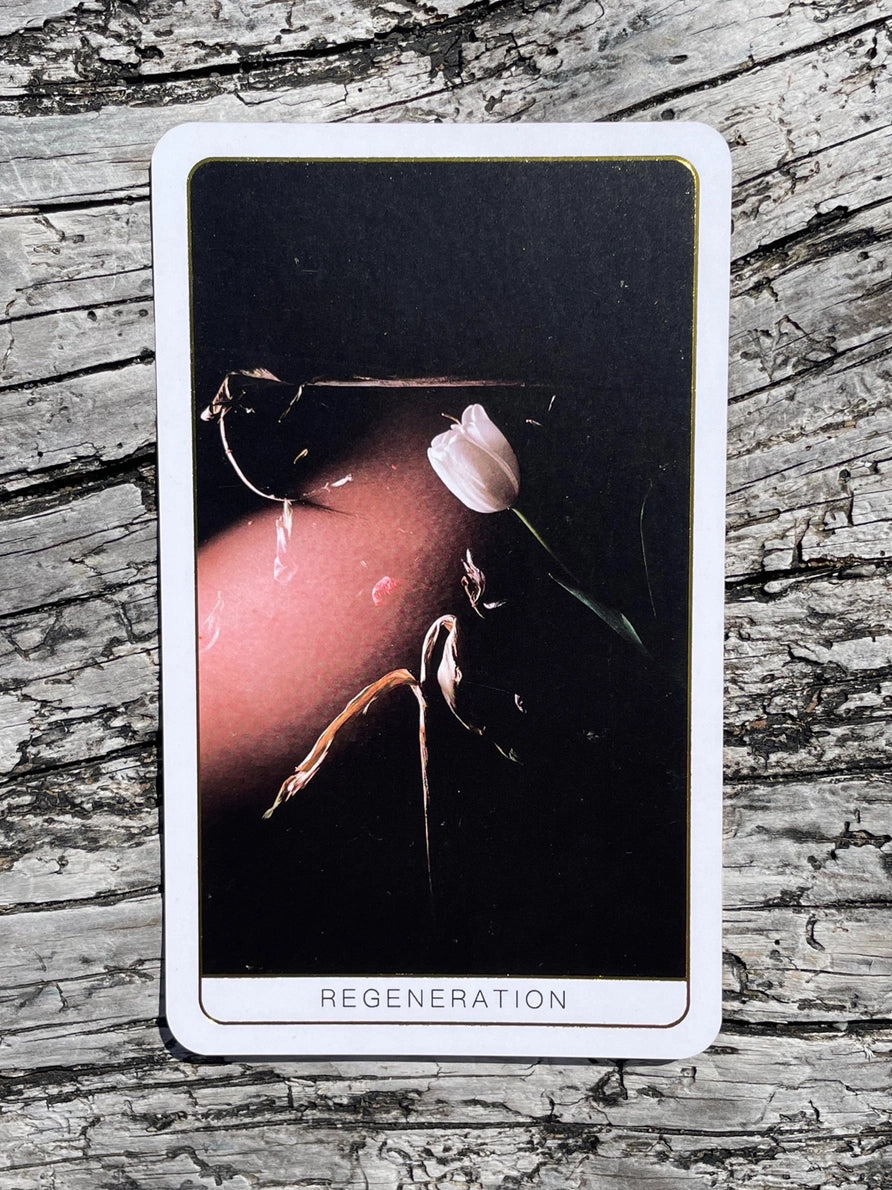 Card titled 'Regeneration' with a dark background and floral elements on a wooden surface