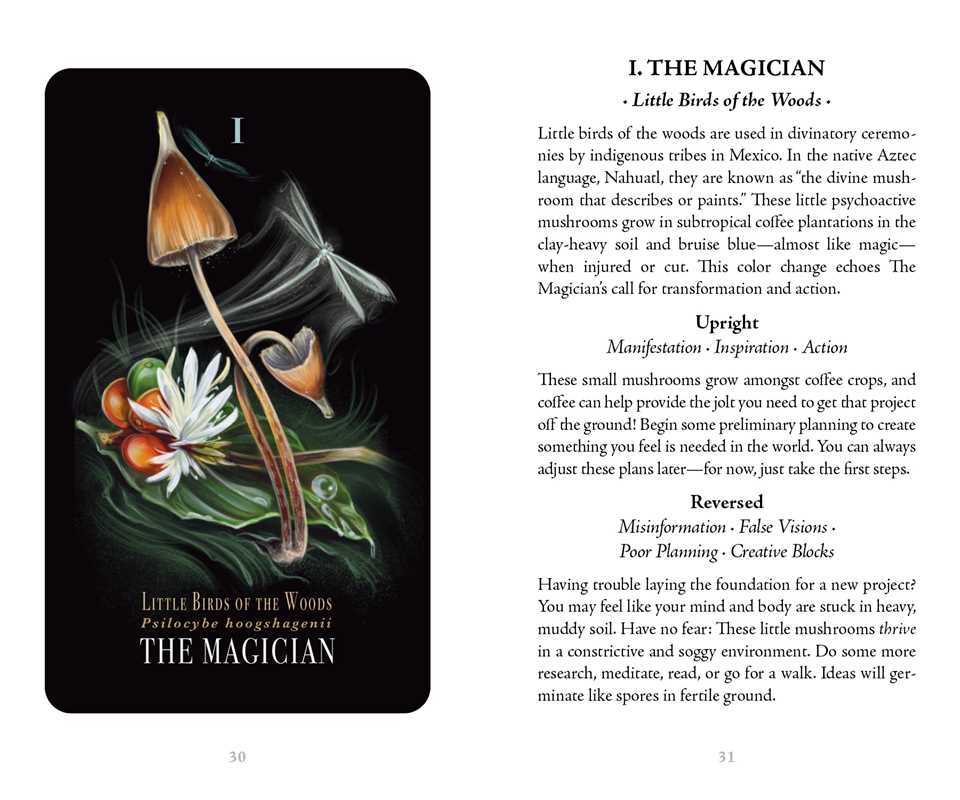 Card from a tarot deck titled 'The Magician' with illustrations and text on a black background.