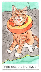 Illustration of a cat wearing a cone collar with 'The Cone of Shame' text.