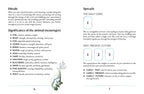 Instructions for using animal card spreads with meanings and symbols on a white background