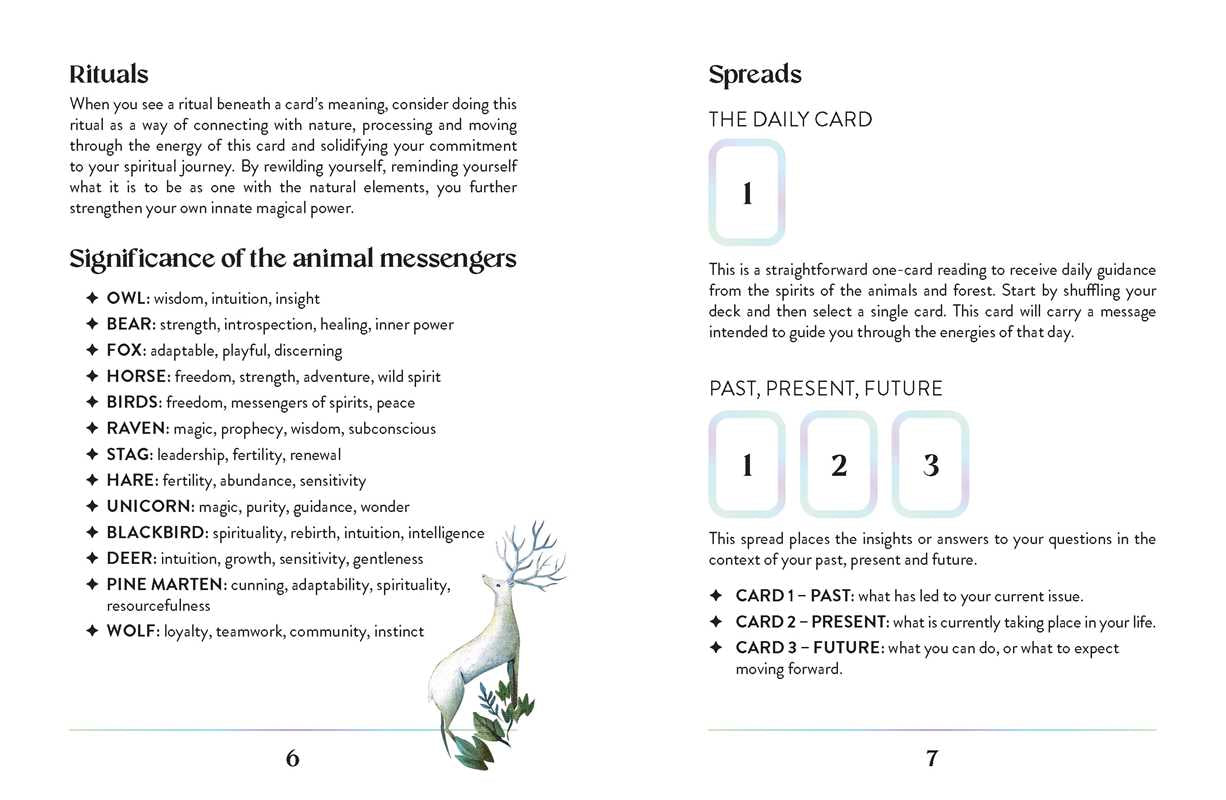 Instructions for using animal card spreads with meanings and symbols on a white background