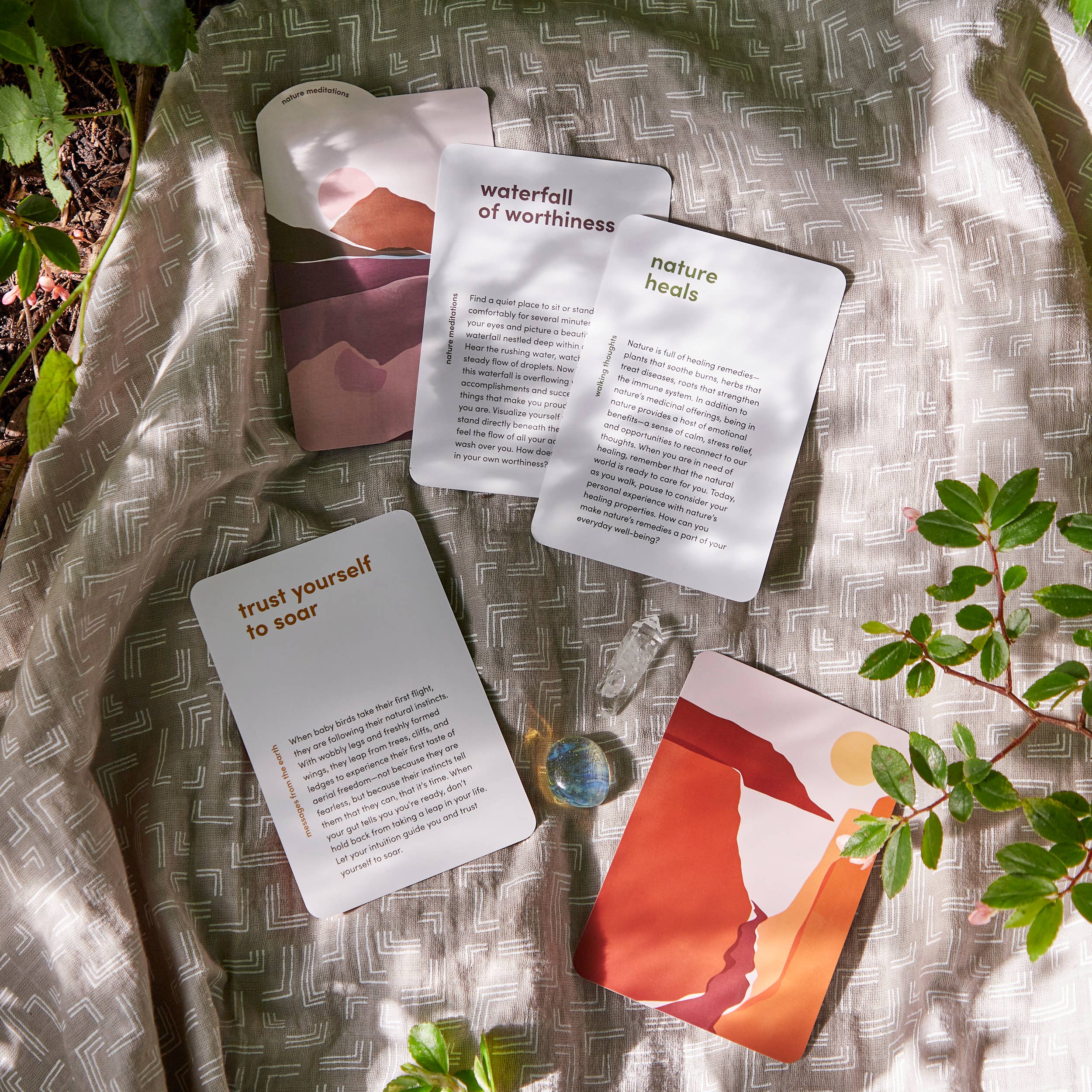 Motivational cards on a textured surface with plants around