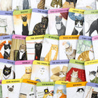 Cat Gurus (Mini Deck)