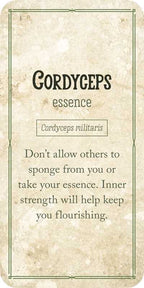 Card with text about Cordyceps essence and its properties on a textured background