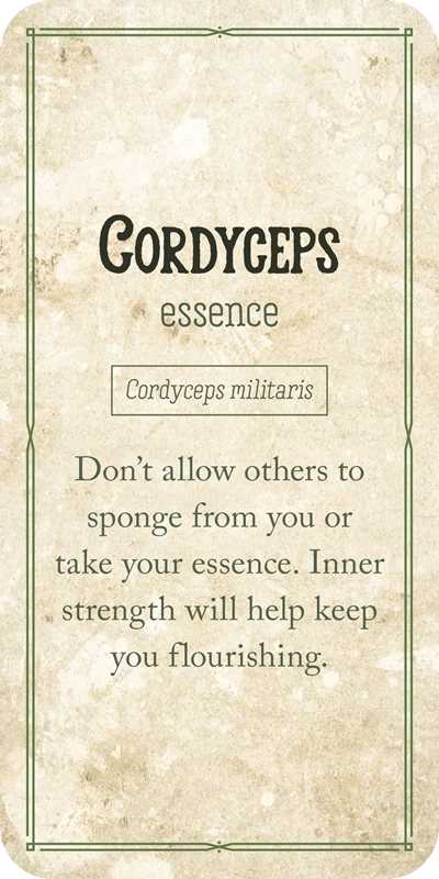 Card with text about Cordyceps essence and its properties on a textured background