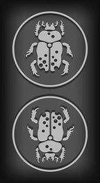 Two circular designs of a beetle on a dark background