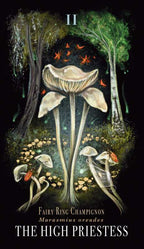Illustration of mushrooms with a dark background and text about 'The High Priestess'.