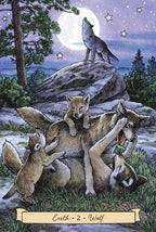 Illustration of wolves and a wolf cub under a moonlit sky with trees and stars.