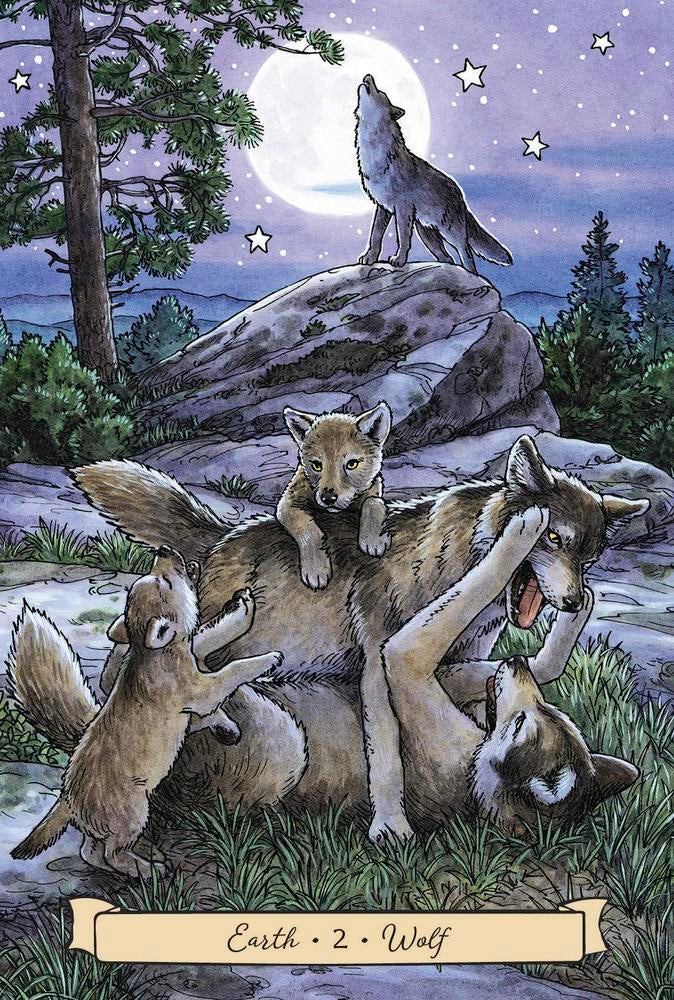 Illustration of wolves and a wolf cub under a moonlit sky with trees and stars.