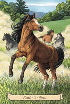 Horse in a grassy field with other horses in the background