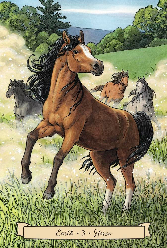 Horse in a grassy field with other horses in the background