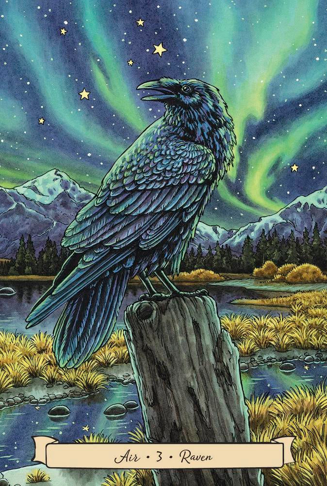 Raven perched on a log with a night sky and aurora borealis in the background