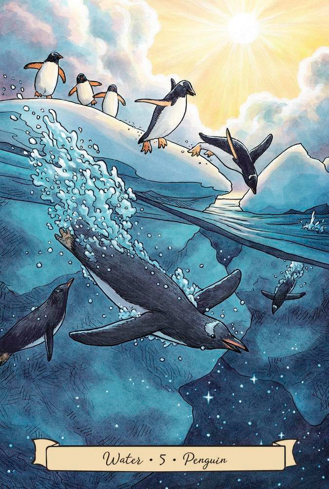 Illustration of penguins on an iceberg with underwater view and 'Water 5 Penguin' text.