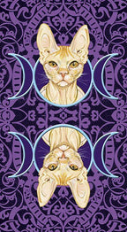 Sphynx cat illustration with moon symbols on a purple patterned background