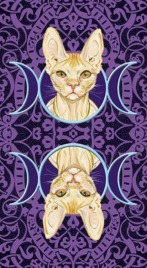 Sphynx cat illustration with moon symbols on a purple patterned background