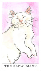 Illustration of a cat with 'The Slow Blink' text on a pink background