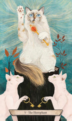 Illustration of a cat holding a lollipop with two other cats, set against a mystical background.