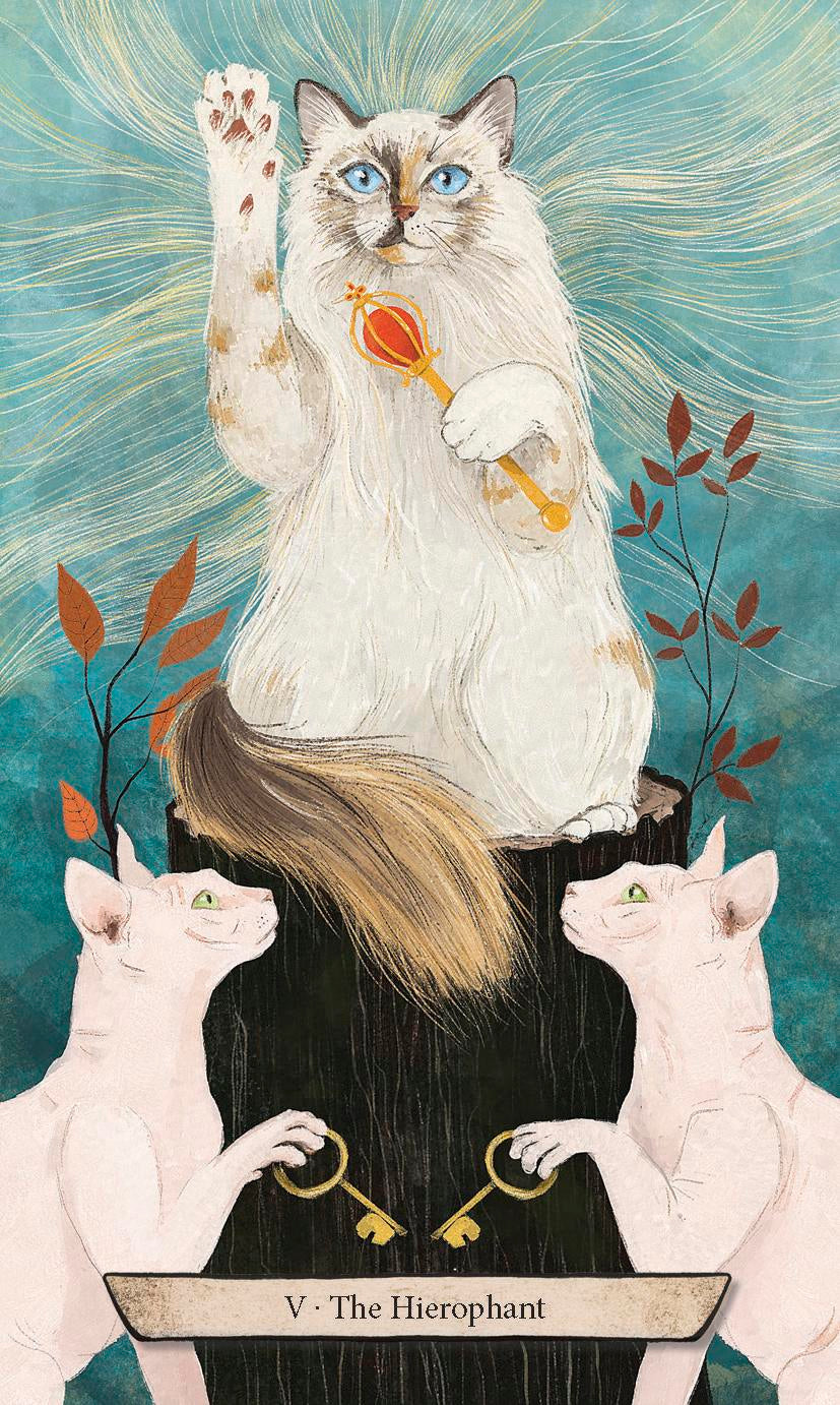 Illustration of a cat holding a lollipop with two other cats, set against a mystical background.