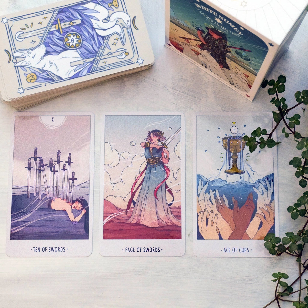 Collection of tarot cards on a wooden surface with a plant in the corner.